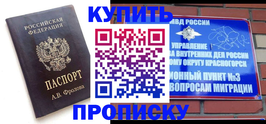прописка поиск в Приозерске